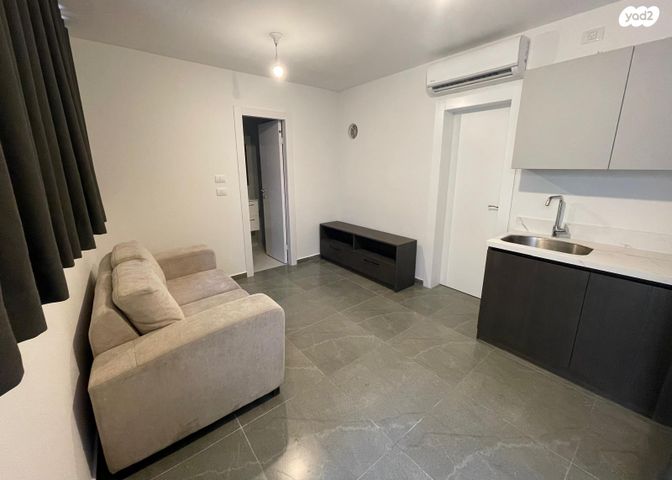 פנחס חורגין 8