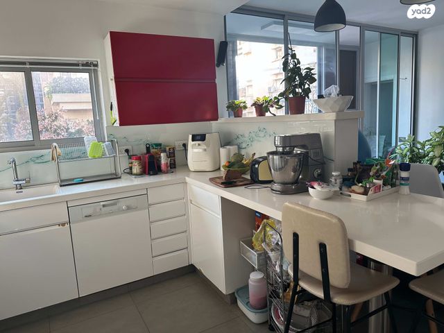 בן גוריון 13