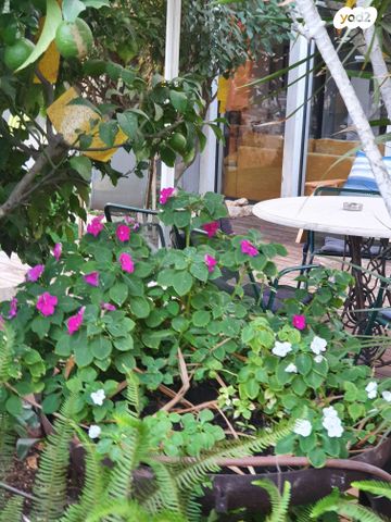 בית פרטי/ קוטג', נוף תבור 1, אילניה, אילניה