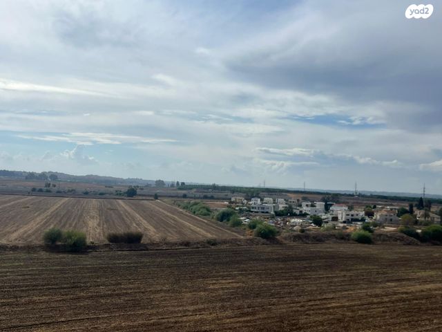 דירה, חזון אי"ש 16, רחובות הצעירה, רחובות