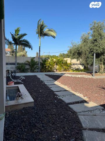 מרתף/ פרטר, התאנה 22, כפר אהרון הישנה, נס ציונה