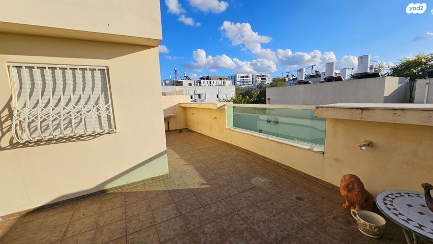 זלמן שניאור 3