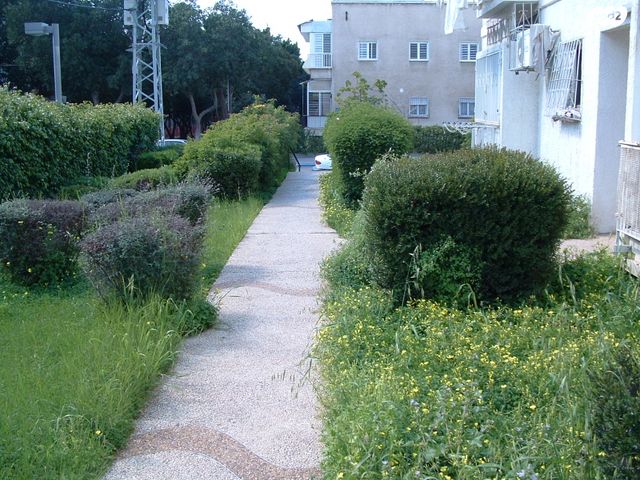 לוחמי גליפולי 60