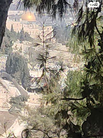 בית פרטי/ קוטג', ישי 8, גבעת חנניה, אבו תור, ירושלים