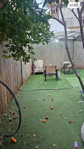 דירה, יעקב פיינברג 4, שינקין, גבעתיים