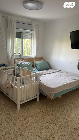 דירה, הצילצל 1, כלי שיר, מעלה אדומים