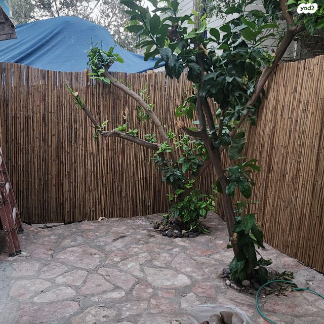 יחידת דיור, החרוב 25, עץ אפרים, עץ אפרים