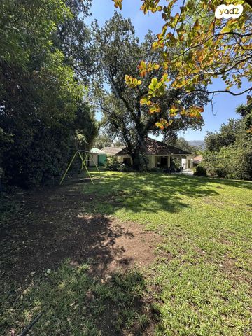 טבעון הוותיקה