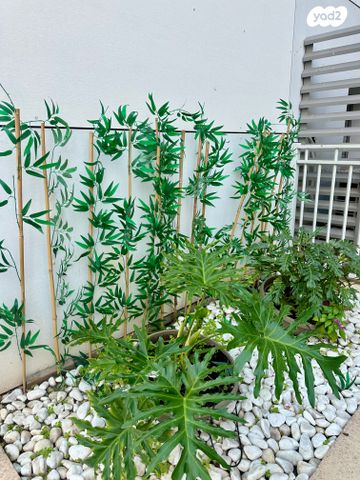 דירה, הגפן, גבעת אשכול, כפר סבא