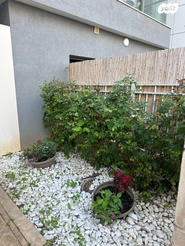 דירה, הגפן, גבעת אשכול, כפר סבא