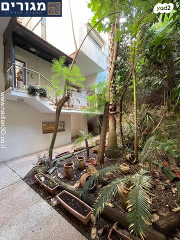 דירה, ארתור הנטקה, אחוזה, חיפה