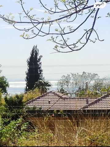 משק חקלאי/ נחלה, אלמגור