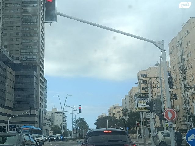 הרב שאולי 