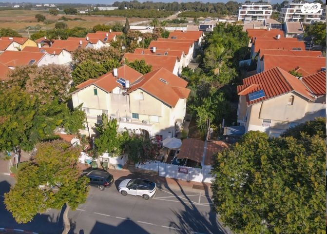 גבעת אלונים