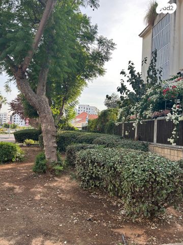 שדרות דוד המלך 