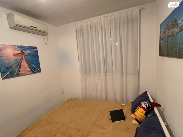 דירה, מרגולין, רמב"ם, ראשון לציון