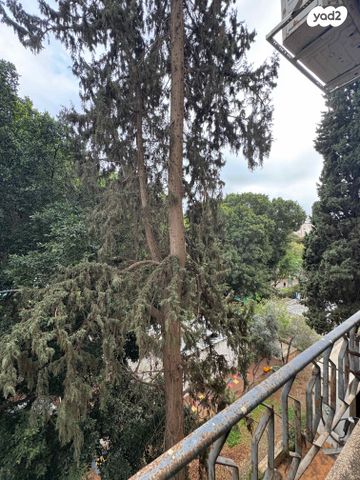 דירה, הרצל 62, מרכז, כפר סבא