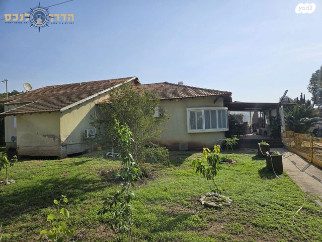 שדרות הכורמים 