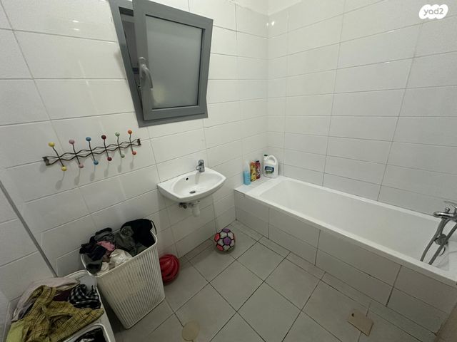 דירה, אגוז, נתיבות