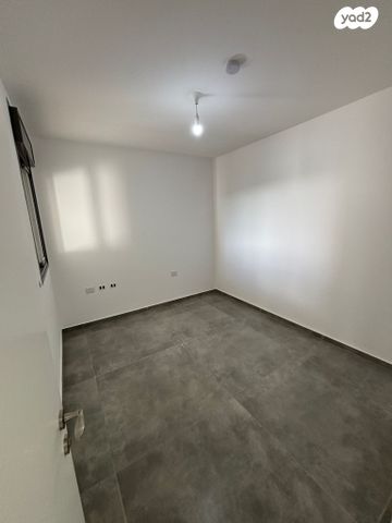 טריפלקס, צופים