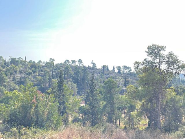 דירת גן, אורן 46, החורש, חריש