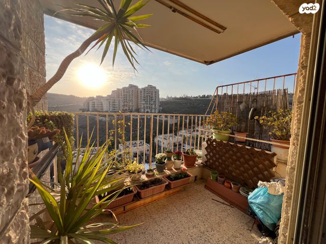 דירה, אנוסי משהד 19, ארמון הנציב, תלפיות מזרח, ירושלים