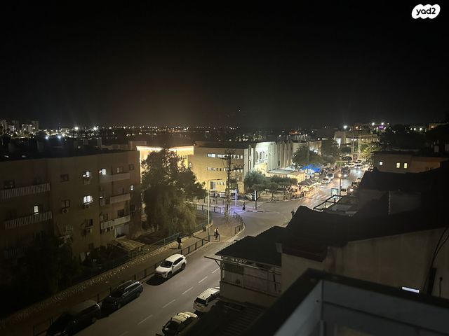 דירה, אגוז, נתיבות