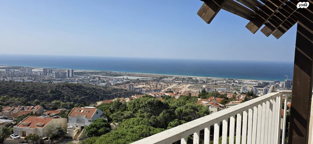 ראול ולנברג 