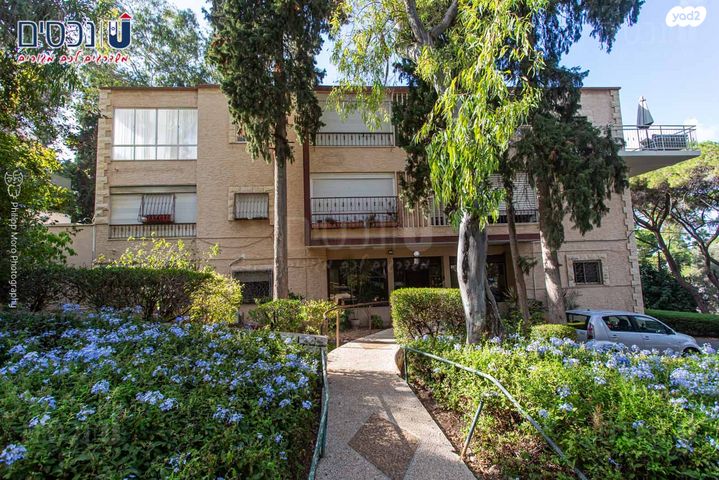 דירה, זיוונית, חיפה