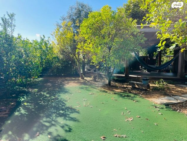 שכונת ותיקים