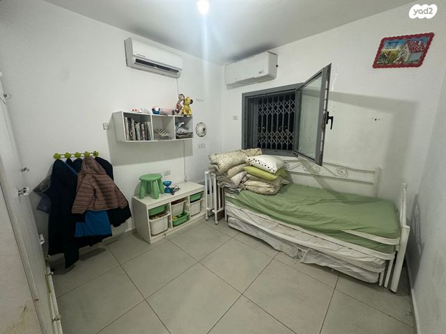 דירה, אגוז, נתיבות