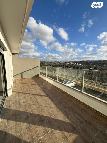 טריפלקס, צופים