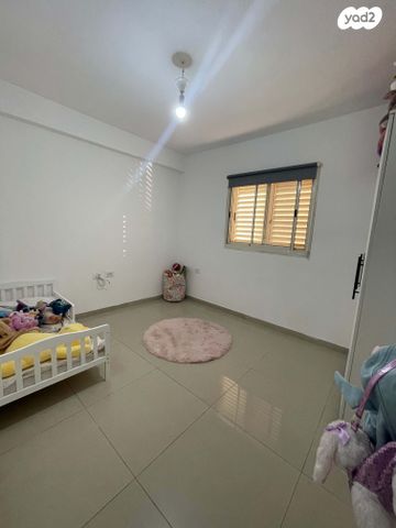 דירה, דימונה