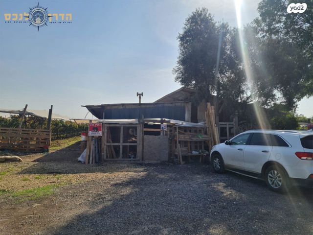 משק חקלאי/ נחלה, שדרות הכורמים, ערוגות, ערוגות