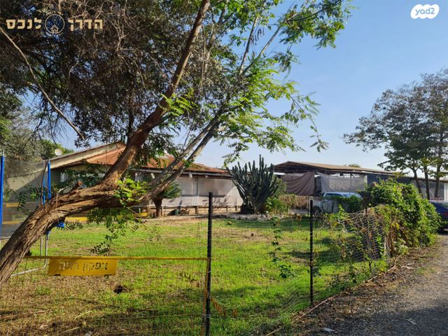 משק חקלאי/ נחלה, שדרות הכורמים, ערוגות, ערוגות