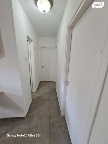 דירה, עמוס, נשר