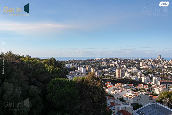 דירה, עמירם חרלף, אחוזה, חיפה