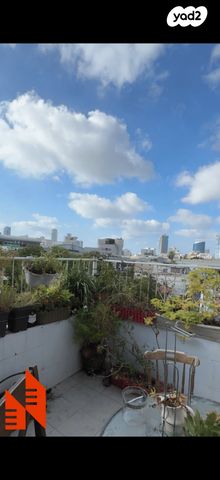 דירה, תל אביב יפו