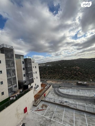 טריפלקס, צופים