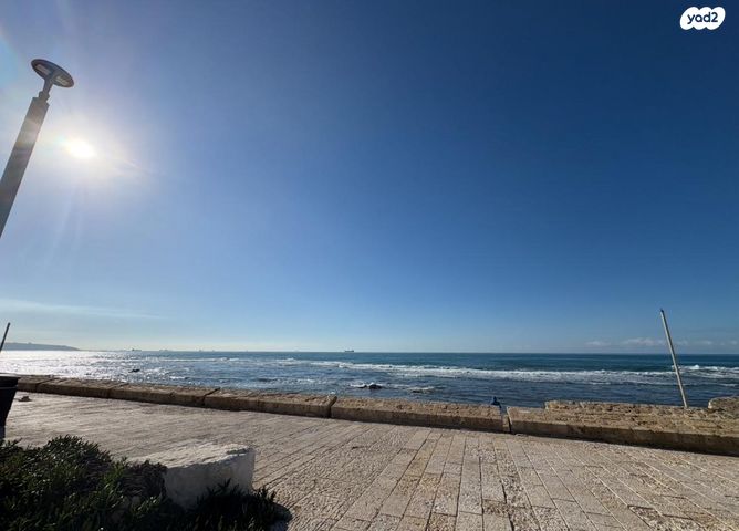 שלמה בן יוסף 6