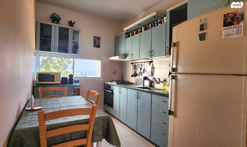 דירה, אריה רובין, משמר נוף, לוד