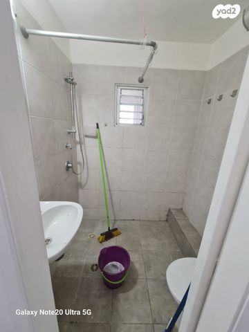 דירה, עמוס, נשר