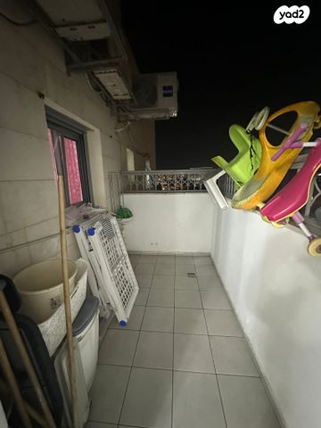 דירה, אגוז, נתיבות