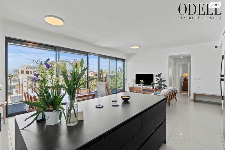 דירה, יוחנן הורקנוס 3, הצפון הישן - צפון, תל אביב יפו