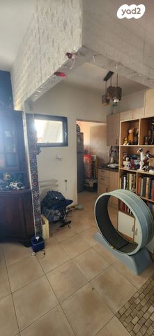 דירה, גשרון, דקל, אילת