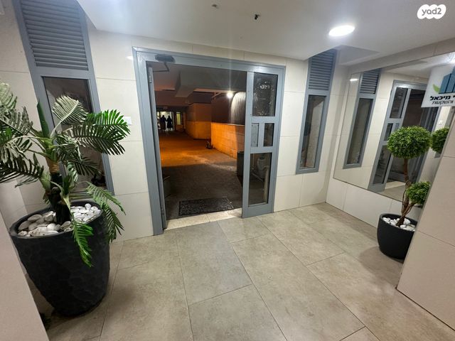 דירה, אגוז, נתיבות