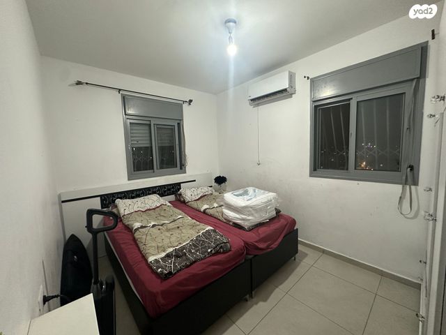 דירה, אגוז, נתיבות