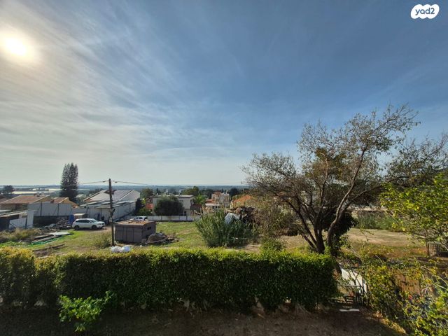 הרב מיימון 51