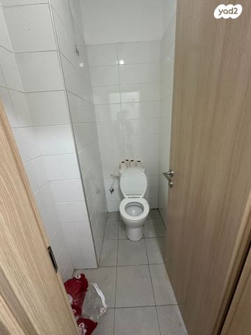 דירה, אגוז, נתיבות