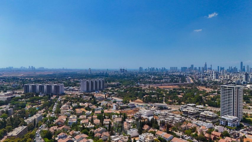 רועי קליין 
